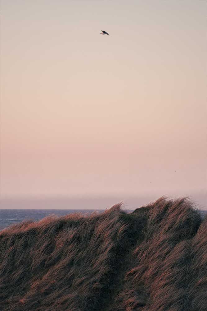 Photographie de jour ensoleillé à la plage au Danemark