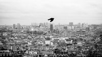Photographie en noir et blanc de la ville de Paris